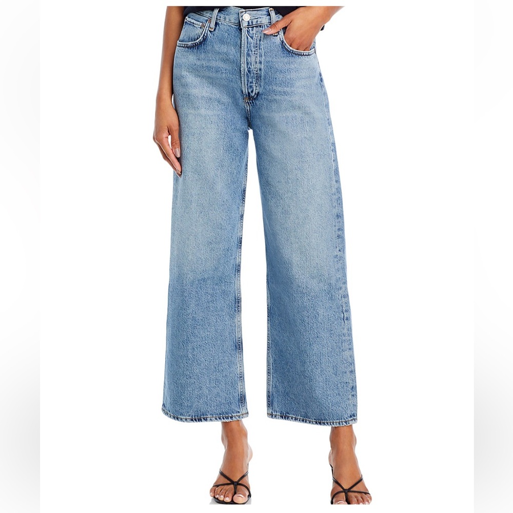 Agolde Ren High Waist Wide Leg in disclosure wash
